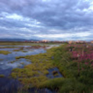 Meet your Posher, Carrie